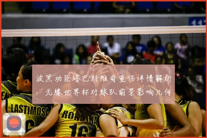 波黑功臣塔巴科维奇重伤详情解析,无缘世界杯对球队前景影响几何?