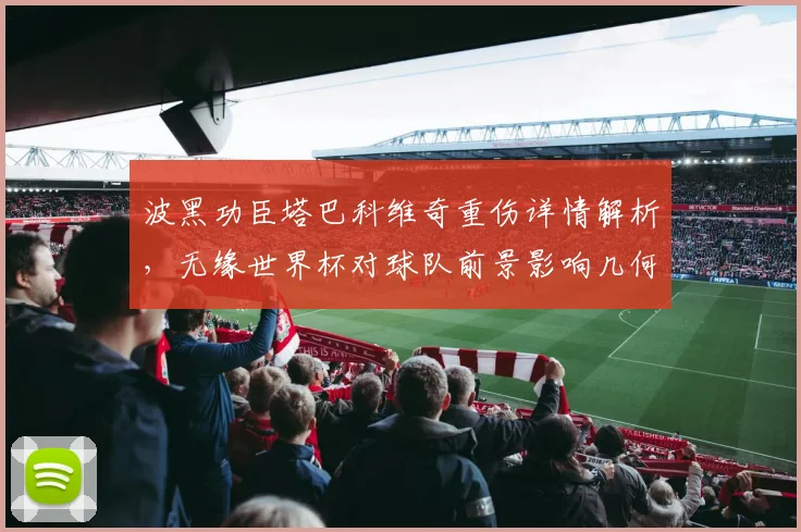 波黑功臣塔巴科维奇重伤详情解析，无缘世界杯对球队前景影响几何？